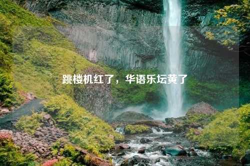 跳楼机红了，华语乐坛黄了