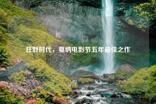 狂野时代，戛纳电影节五年最佳之作