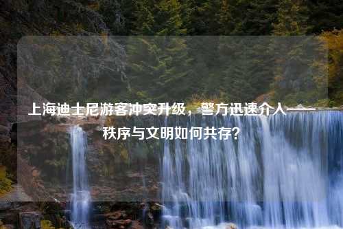 上海迪士尼游客冲突升级，警方迅速介入——秩序与文明如何共存？