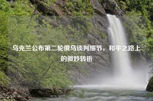 乌克兰公布第二轮俄乌谈判细节，和平之路上的微妙转折