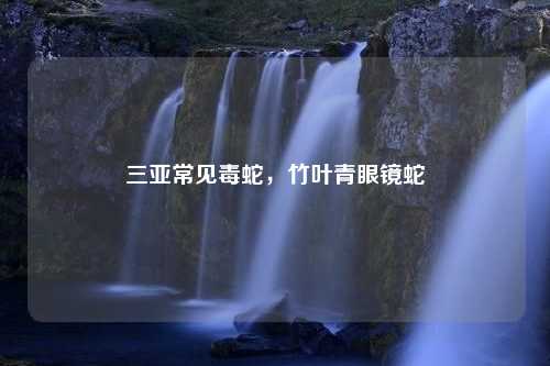 三亚常见毒蛇，竹叶青眼镜蛇