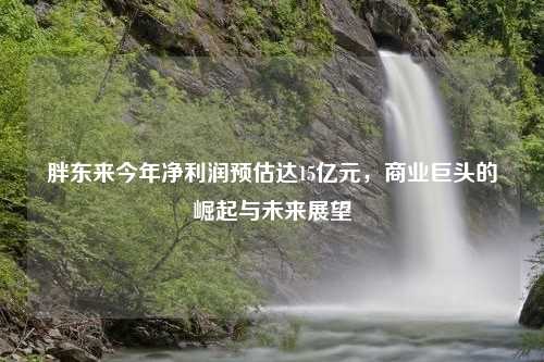 胖东来今年净利润预估达15亿元，商业巨头的崛起与未来展望