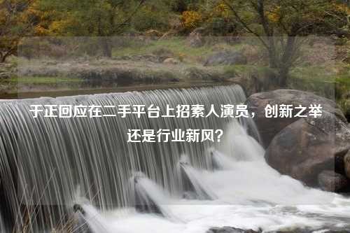 于正回应在二手平台上招素人演员，创新之举还是行业新风？