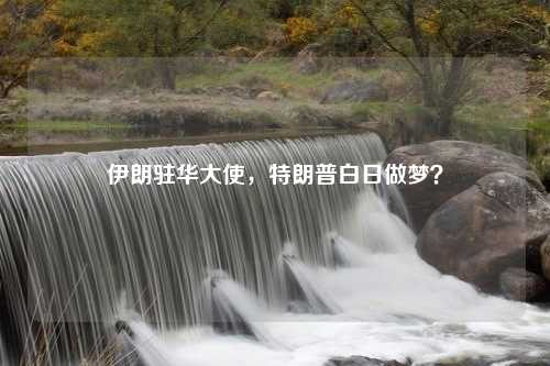 伊朗驻华大使，特朗普白日做梦？